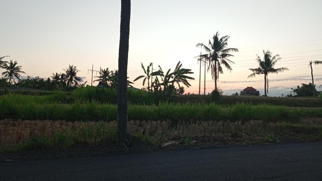 Neny'S Homestay Saba Luaran gambar